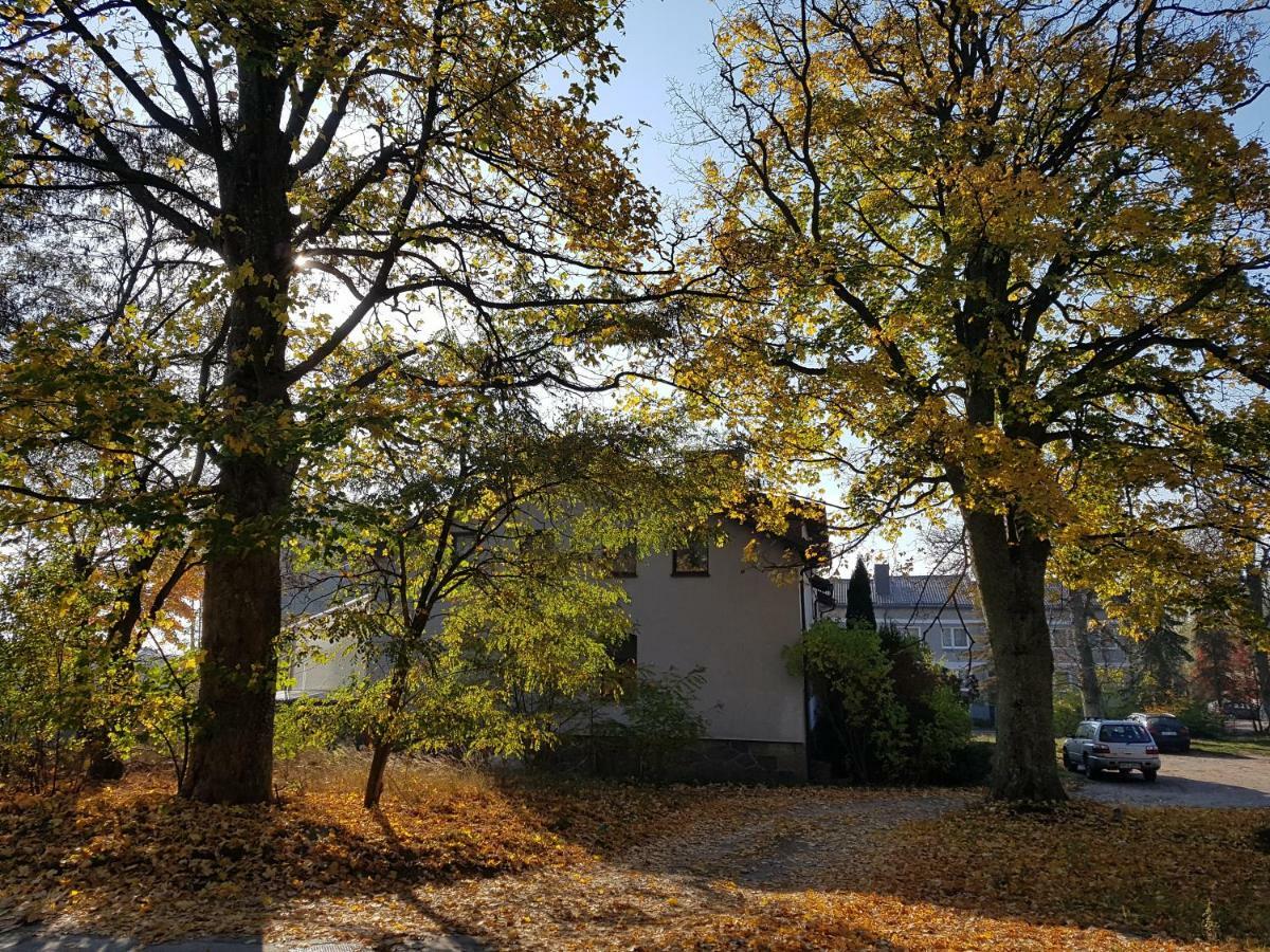 Nr 3 W Starym Nadlesnictwie Koscierzyna